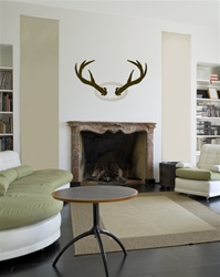 Antlers wall decal sticker